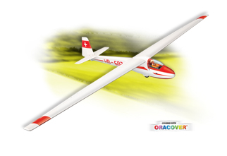 large scale rc gliders